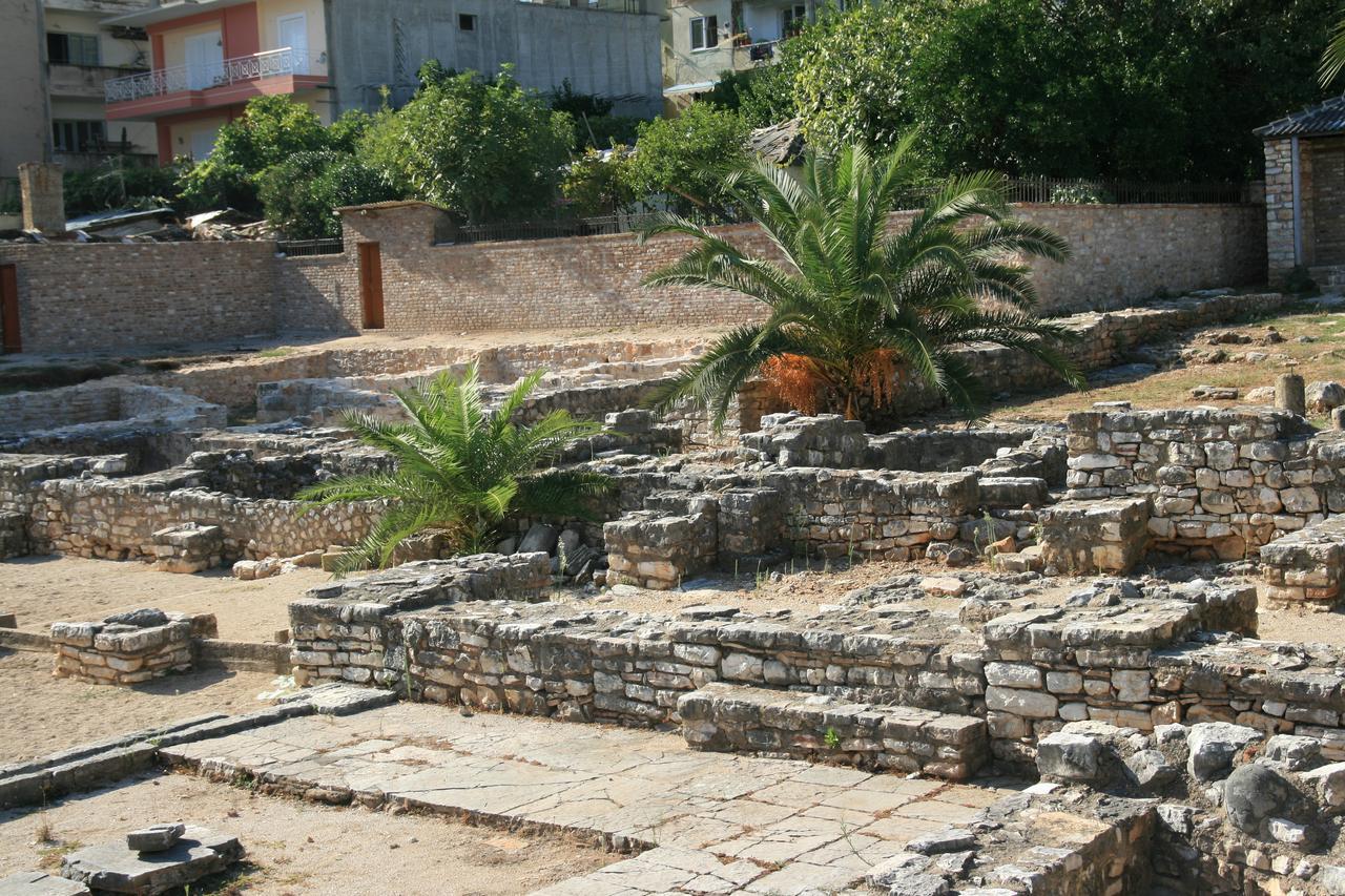 Casa de Férias Shehu's House